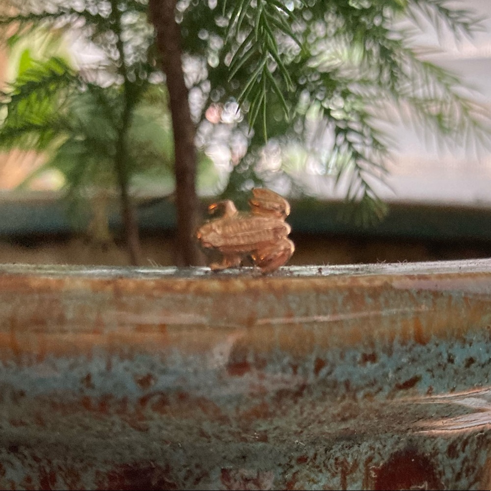 Gold Frog Stud Earring - image 1